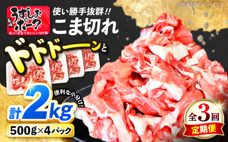 3回定期便 長崎うずしおポーク こま切れ 計2kg（500g×4P）CAG315 こま切れ 訳あり