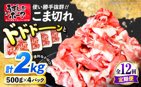 12回定期便 長崎うずしおポーク 小間切れ 2kg CAG317 小間切れ 訳あり
