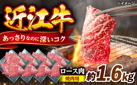 近江牛焼肉ロース1.6kg [AQDB026]近江牛 牛肉