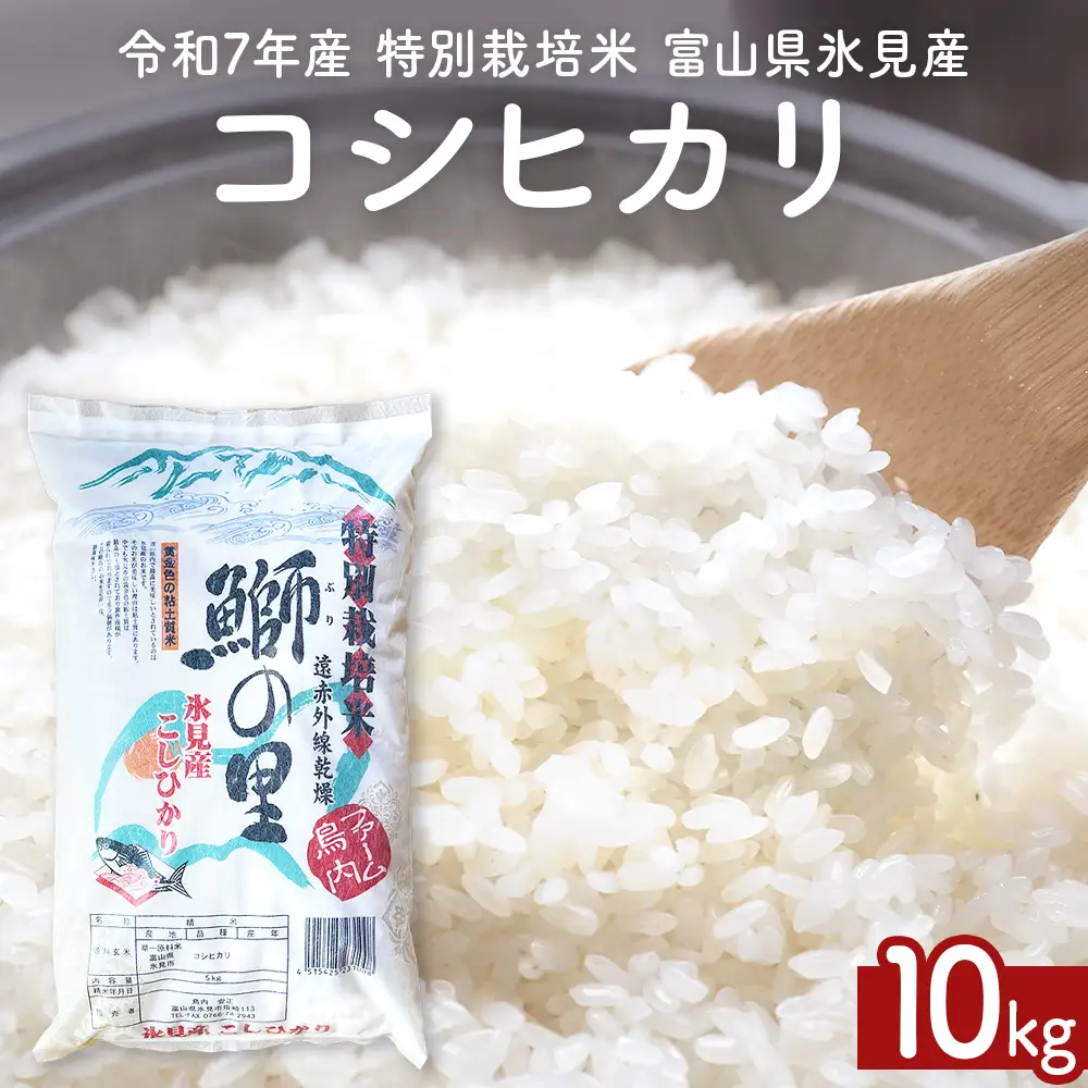 〈令和7年産 特別栽培米〉 富山県産コシヒカリ 10kg 鰤の里 白米