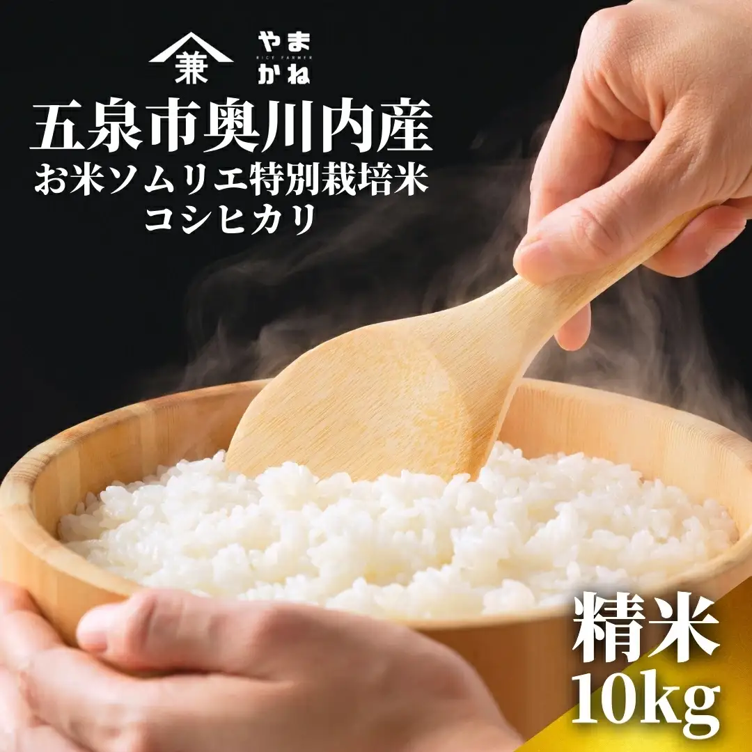 【先行予約】令和8年産 五泉市産 特別栽培米 コシヒカリ 10kg(5kg×2袋)
