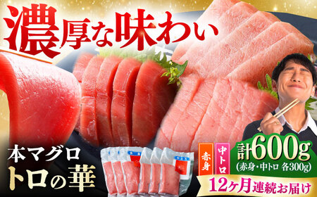 【全12回定期便】対馬産 本マグロ 600g（赤身300g、中トロ300g） ≪対馬市≫【桐谷商店】 トロの華 対馬 新鮮 マグロ 赤身 トロ 鮪 刺身[WAQ070]