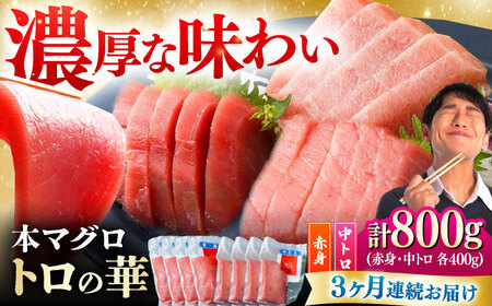 【全3回定期便】対馬産 本マグロ 800g（赤身400g、中トロ400g） ≪対馬市≫【桐谷商店】 トロの華 対馬 新鮮 マグロ 赤身 トロ 鮪 刺身[WAQ072]