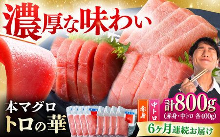 【全6回定期便】対馬産 本マグロ 800g（赤身400g、中トロ400g） ≪対馬市≫【桐谷商店】 トロの華 対馬 新鮮 マグロ 赤身 トロ 鮪 刺身[WAQ073]