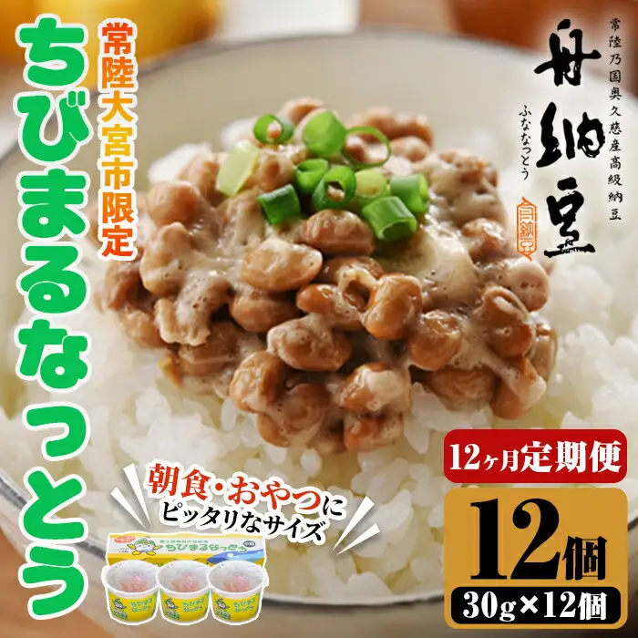 舟納豆 ちびまる納豆 12回定期便 【納豆】【ho1531】
