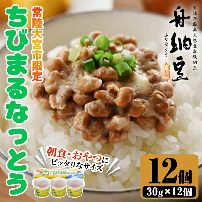 ちびまる納豆12パック 茨城 大豆 高級【納豆】【ho1518】