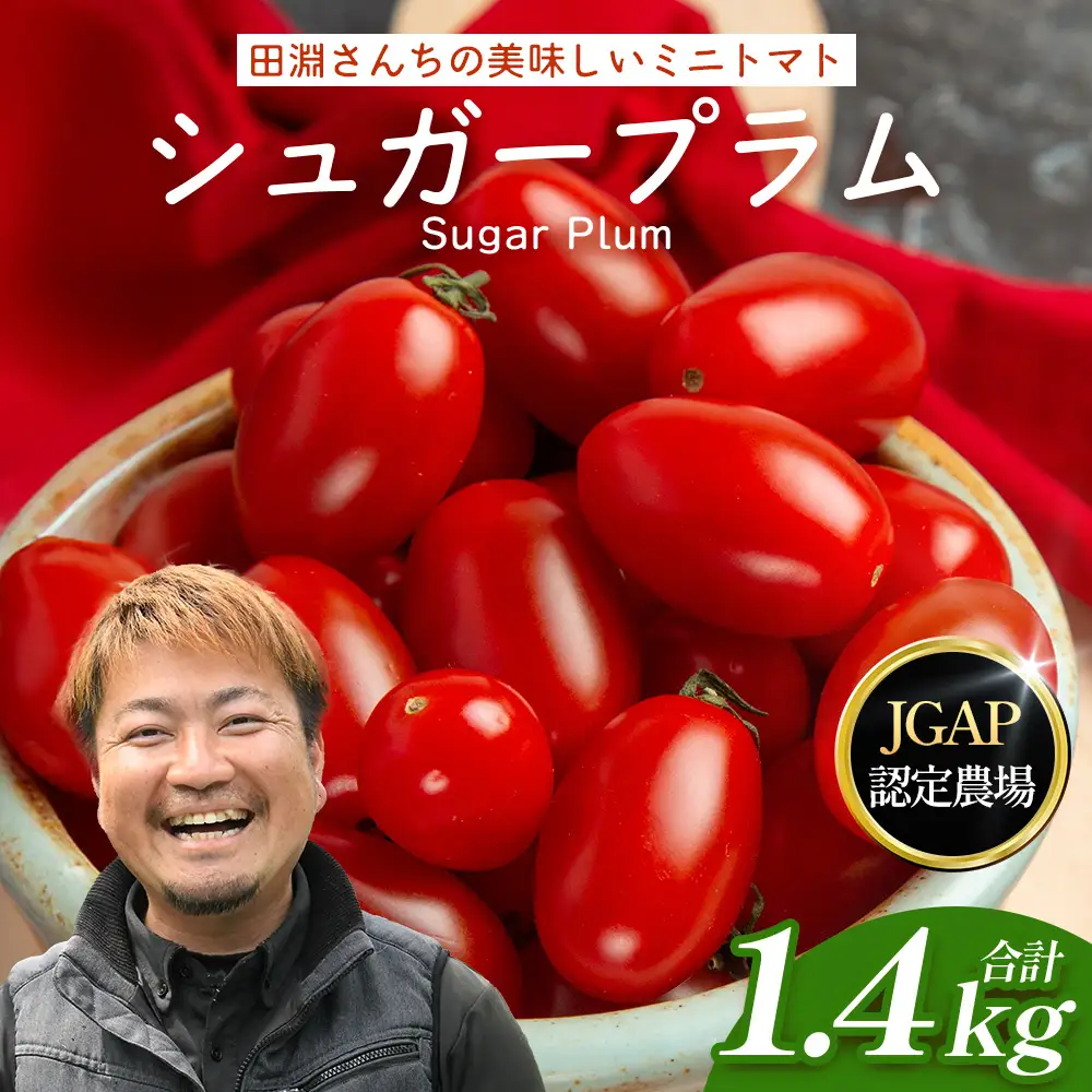 《期間限定》田淵さんちの美味しい ミニトマト シュガープラム（約1,400g）GP-2｜鹿児島県 南大隅 産地直送 旬 とまと トマト ミニトマト リコピン 完熟 甘い 高糖度 野菜 やさい 送料無料