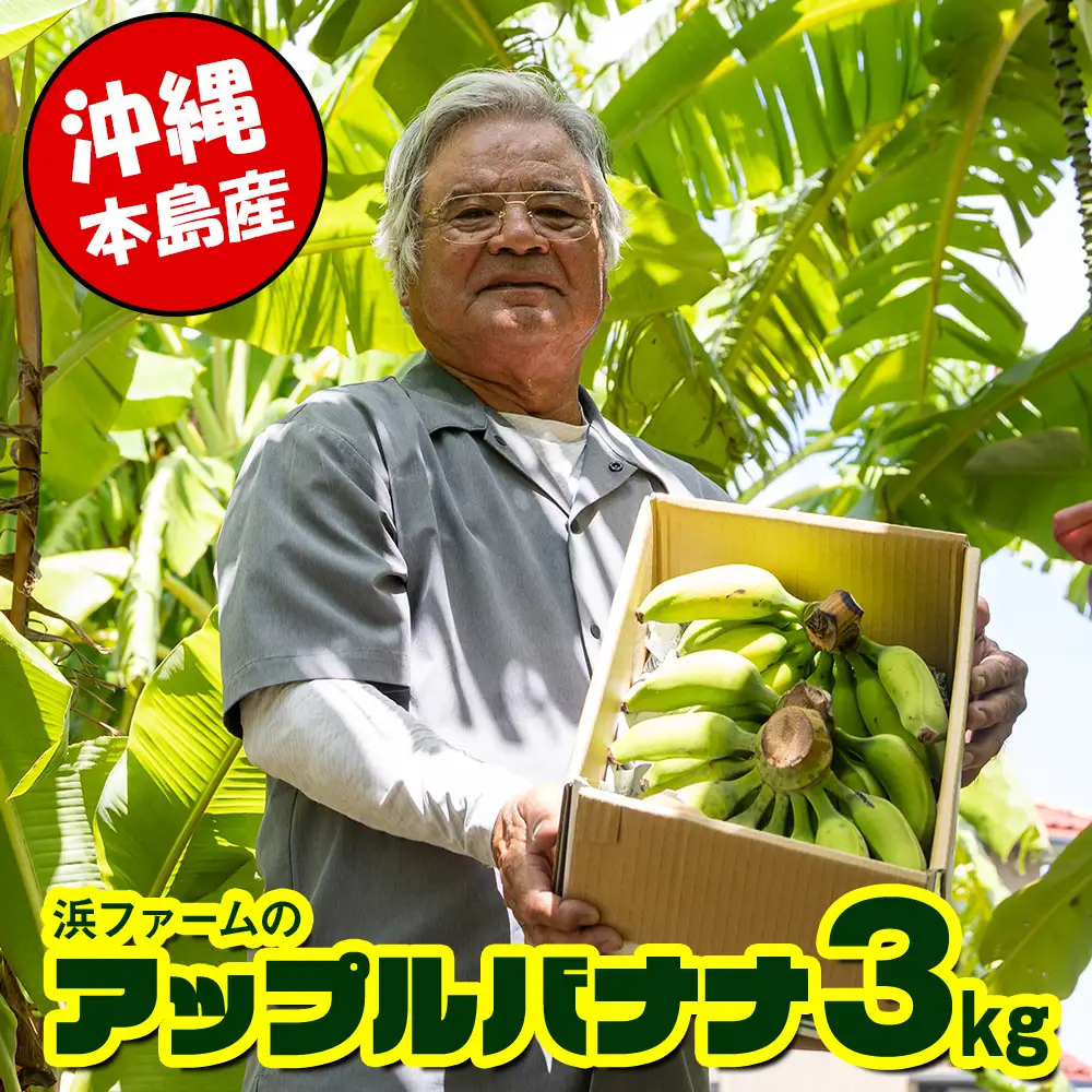 【沖縄本島産】浜ファームの「アップルバナナ」　3kg