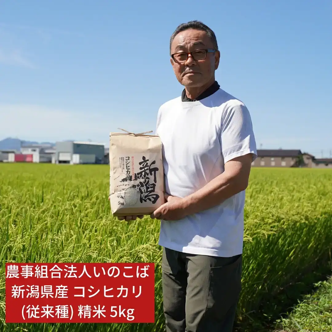新潟県産 コシヒカリ 5kg 従来種 令和7年 農事組合法人いのこば コシヒカリ