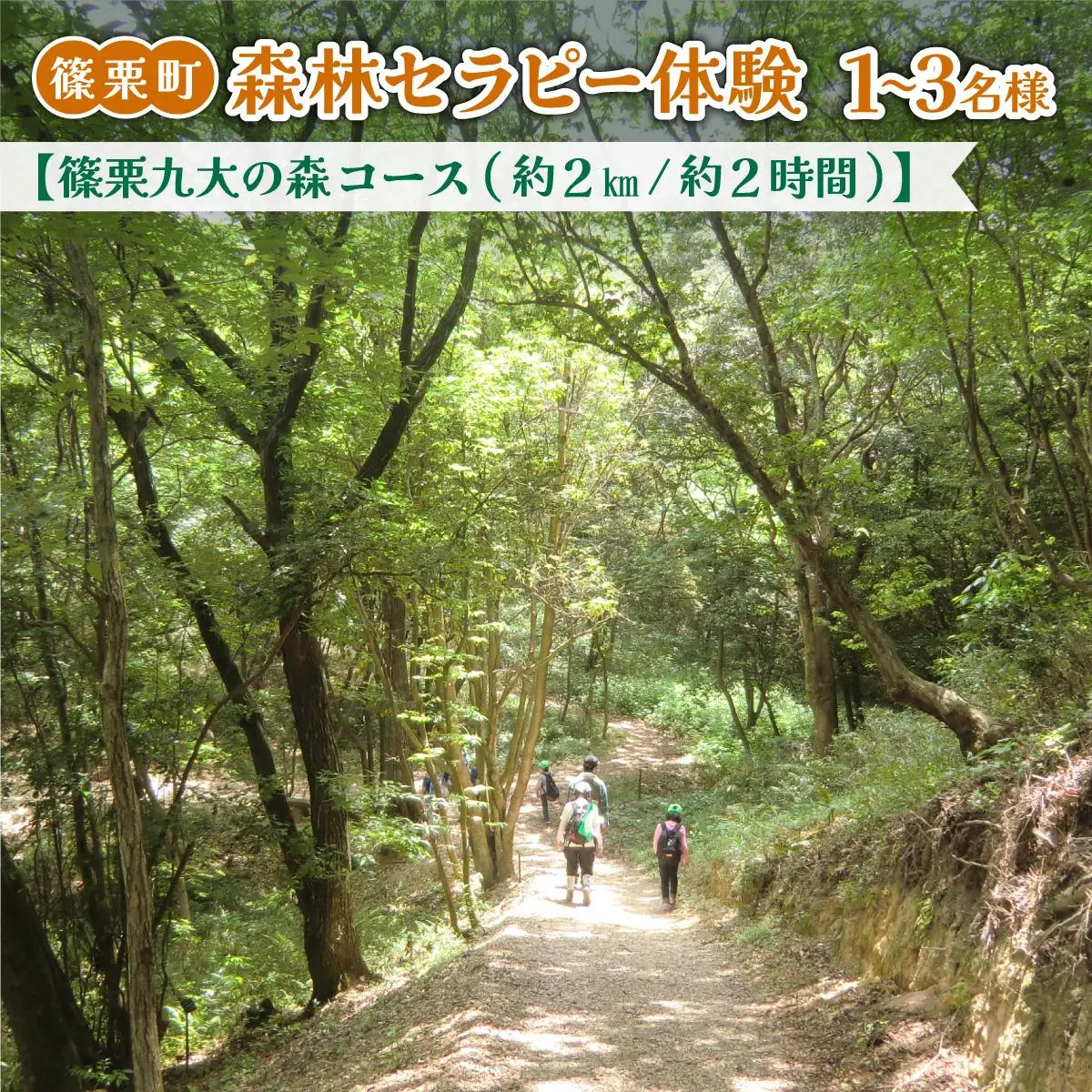 篠栗町森林セラピー体験1～3名様【篠栗九大の森コース（約2km/約2時間）】FZ005 