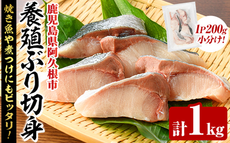 養殖ぶり切身(約1kg) 鹿児島県 阿久根市 ブリ ぶり 鰤 魚貝 魚介 海産物 切身 切り身 煮物 煮つけ 焼き魚 おかず おつまみ 小分け 【さるがく水産】akn028-44