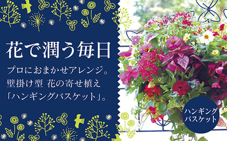 C053 花うるる おまかせハンギング 寄せ植え Ｍサイズ(完成品 鉢 鉢植え 壁掛け ハンギングバスケット 通販 プレゼント おしゃれ 珍しい 苗 玄関 屋外 フラワーギフト 誕生日 花苗 ギャザリング 冬 プランター ハンキング 花飾り 園芸 アレンジメント 春 お花