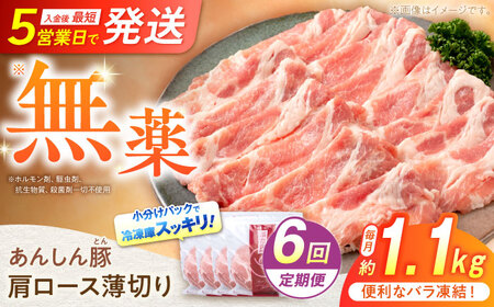 【6回定期便】《バラ凍結》肩ロース薄切り 1.1kg 豚肉 白川町 / 藤井ファーム[AWAF047]