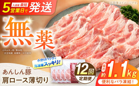 【12回定期便】《バラ凍結》肩ロース薄切り 1.1kg 豚肉 白川町 / 藤井ファーム[AWAF048]