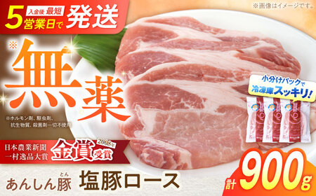 《金賞受賞》 塩豚ロース 900g 豚肉 白川町 / 藤井ファーム[AWAF053]