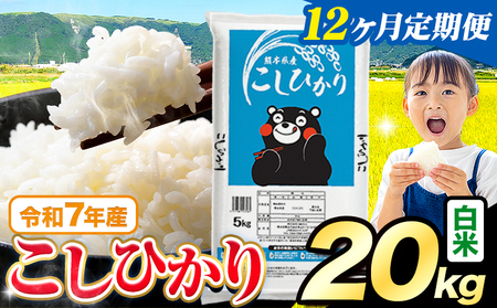 【12ヶ月定期便】白米 こしひかり 20kg