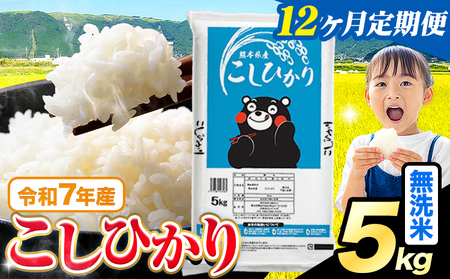 【12ヶ月定期便】無洗米 こしひかり 5kg