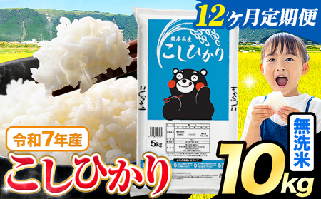 【12ヶ月定期便】無洗米 こしひかり 10kg 無洗