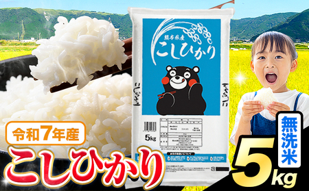 令和7年産 こしひかり 5kg 無洗米