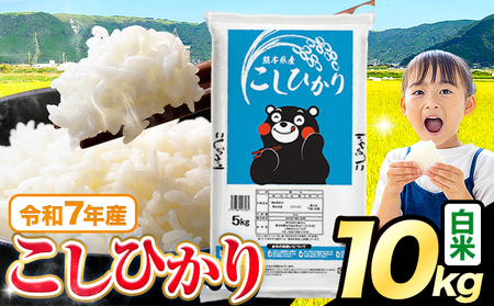 令和7年産 こしひかり 10kg 白米
