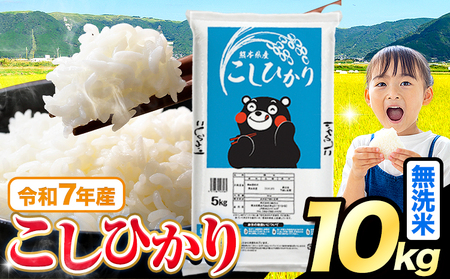 令和7年産 こしひかり 10kg 無洗米 《7-14日以内に出荷予定(土日祝除く)》 
