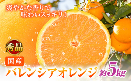 オレンジ【秀品】希少な国産バレンシアオレンジ 約5kg