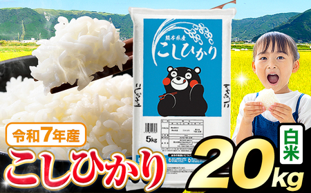 令和7年産 こしひかり 20kg 白米 コシヒカリ