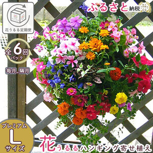 A059 花 定期便 花うるる ハンギング 寄せ植え プレミアムコース全6回 (サブスク ハンギングバスケット 屋外 春 夏 秋 冬 母の日 定期購入 ギフト フラワー 玄関 プレゼント 通販 鉢植え おしゃれ 玄関 ガーデニング フラワーギフト 完成品 花苗 寄植え 園芸 お花
