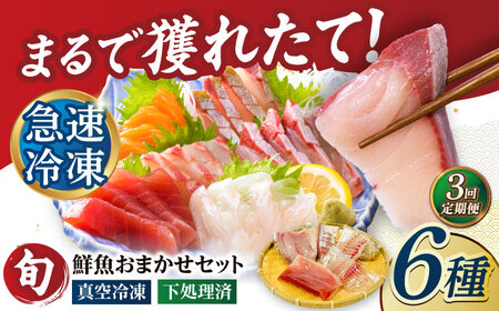 【3回定期便】【下処理済】超速冷凍鮮魚6種（5種+焼物用1種） 五島市/金沢鮮魚[PEP065]魚 鮮魚 鮮魚ボックス