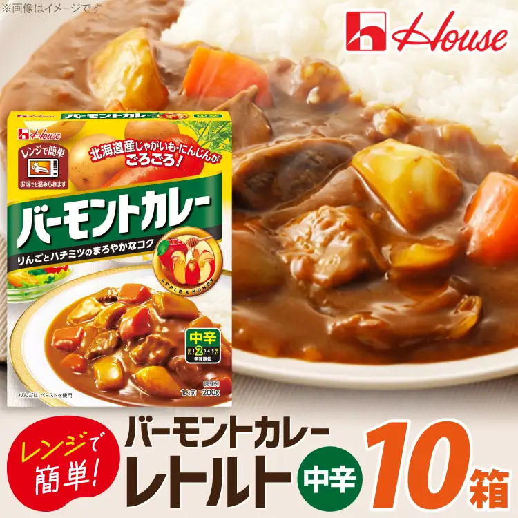 バーモントカレー 中辛 200g 10個 [翔栄通商 愛知県 江南市 ko23btu570054]