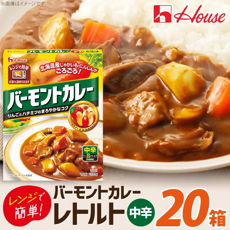 バーモントカレー 中辛 200g 20個 [翔栄通商 愛知県 江南市 ko23btu570055]