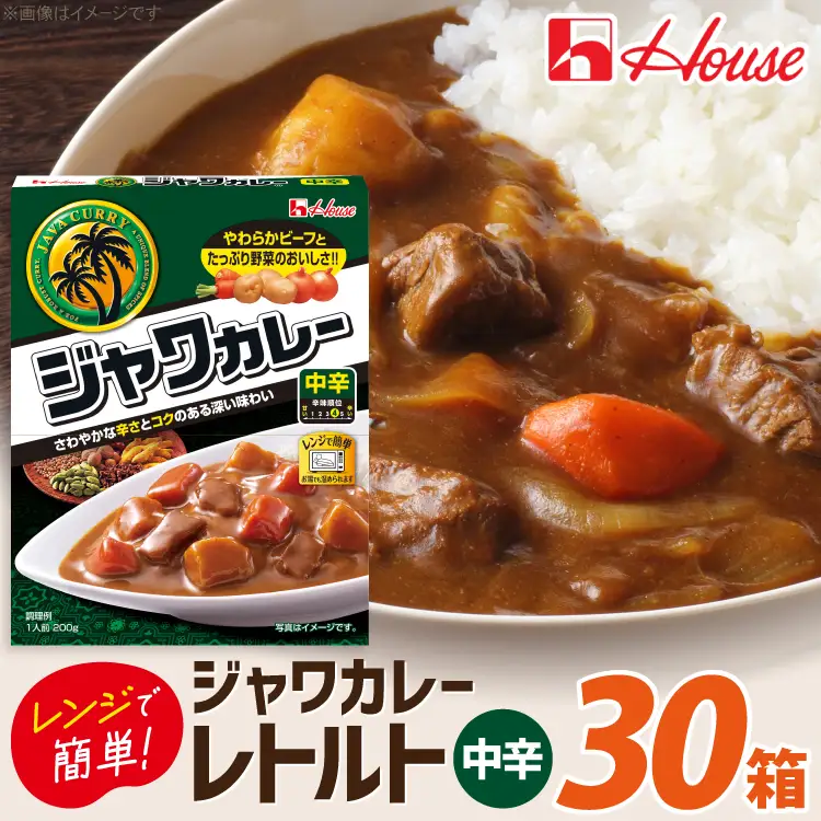 ハウス レトルトジャワカレー 中辛 200g 30個 [翔栄通商 愛知県 江南市 ko23btu570089]