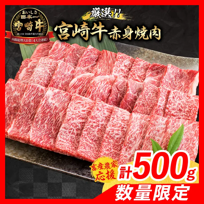 【6月配送】【畜産農家応援】数量限定 厳選 宮崎牛 赤身 焼肉 計500g_BBV9-25-06