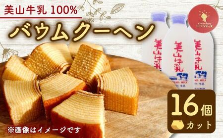 バウムクーヘン 南丹市「美山牛乳」100%使用 【南丹市×綾部市共同開発】 16個