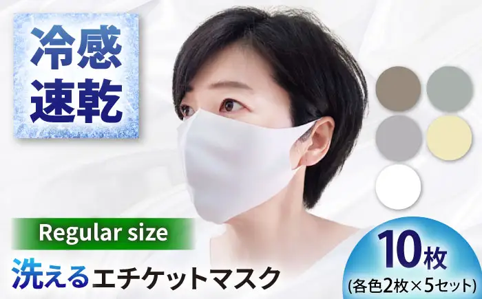 マスク エチケットマスク レギュラーサイズ 10枚 [ANEA008] マスク