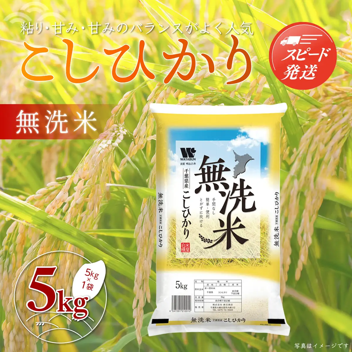 【最短2～7営業日出荷】令和7年産 千葉県産「コシヒカリ」無洗米 5kg（5kg×1袋） ふるさと納税 米 無洗米 コシヒカリ こしひかり 千葉県 大網白里市 A051