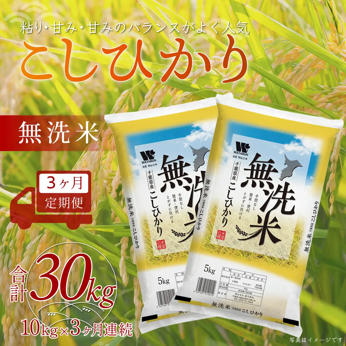 ＜3ヶ月定期便＞ 令和7年産 千葉県産「コシヒカリ」無洗米 10kg×3ヶ月連続 計30kg　 ふるさと納税 米 定期 無洗米 コシヒカリ こしひかり 千葉県 大網白里市 A059