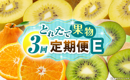 とれたて果物 3回定期便E |果物 フルーツ 果物定期便 フルーツ定期便 定期便 キウイ デコポン濃厚 旬の果物 定期 人気 おすすめ 贈答 贈り物 青果物 糖度 香川県 |_mk165-t069