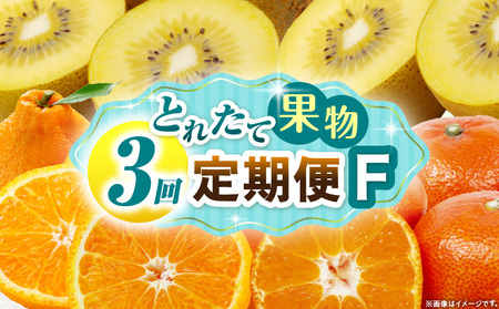 とれたて果物 3回定期便F |果物 フルーツ 果物定期便 フルーツ定期便 定期便キウイ デコポンみかん 濃厚 旬の果物 定期 人気 おすすめ 贈答 贈り物 青果物 糖度 香川県 |_mk165-t070