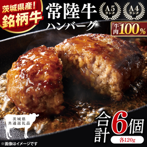 【茨城県共通返礼品】常陸牛100％ ハンバーグ 120g×6個【黒毛和牛 牛肉 銘柄牛 真空 小分け 個包装 冷凍 茨城県 阿見町】(81-46)