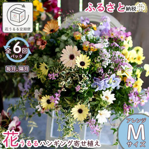 A031 花うるる 定期便 ハンギング 寄せ植え アレンジコース全6回 (サブスク ハンギングバスケット 母の日 春 夏 秋 冬 定期購入 ギフト 花 フラワー 玄関 プレゼント 通販 鉢植え おしゃれ 送料無料 玄関 ガーデニング フラワーギフト 完成品 花苗 寄植え
