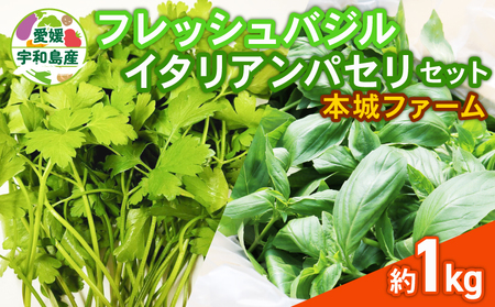 フレッシュ バジル イタリアンパセリ セット 計1kg 本城ファーム ハーブ 生バジル 生パセリ パセリ ばじる はーぶ 香草 水耕栽培 野菜 やさい 美味しい 新鮮 イタリア料理 調味料 スパイス 農家直送 産地直送 数量限定 国産 愛媛 宇和島 F020-199006
