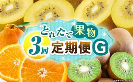 とれたて果物 3回定期便G |果物 フルーツ 果物定期便 フルーツ定期便 定期便 キウイ デコポン 濃厚 旬の果物 定期 人気 おすすめ 贈答 贈り物 青果物 糖度 香川県 |_mk165-t071
