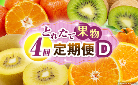 とれたて果物 4回定期便D |果物 フルーツ 果物定期便 フルーツ定期便 定期便 キウイ デコポン みかん 濃厚 旬の果物 定期 人気 おすすめ 贈答 贈り物 青果物 糖度 香川県 |_mk165-t077
