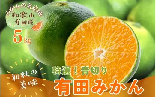【先行予約】 初秋の美味 農家直送 特選 ! 青切り 有田みかん 5kg＋200g(痛み補償分) ※2026年9月中旬～10月上旬に順次発送 ※北海道・沖縄・離島配送不可 【ard001-p-5B】