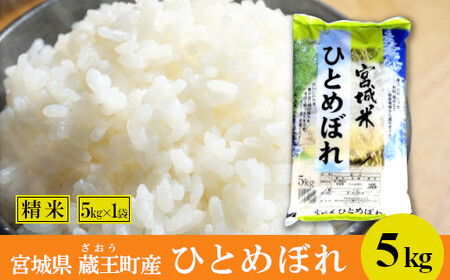 【令和7年産米】蔵王産　ひとめぼれ　精米5kg ／ 米 ごはん ご飯 白米 精米 5kg 2025年産 令和7年産 新米 東北 宮城県産 蔵王産　【04301-0388】