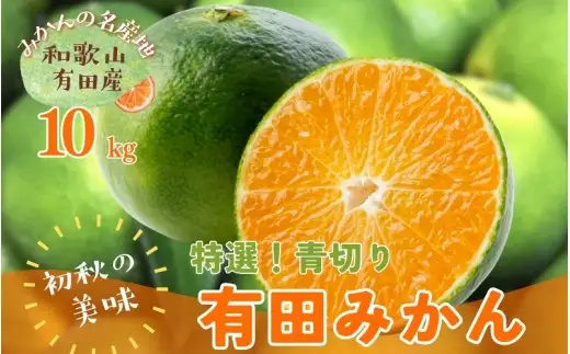 【先行予約】 初秋の美味 農家直送 特選 ! 青切り 有田みかん 10kg＋200g(痛み補償分) ※2026年9月中旬～10月上旬に順次発送 ※北海道・沖縄・離島配送不可 【ard001-p-10B】
