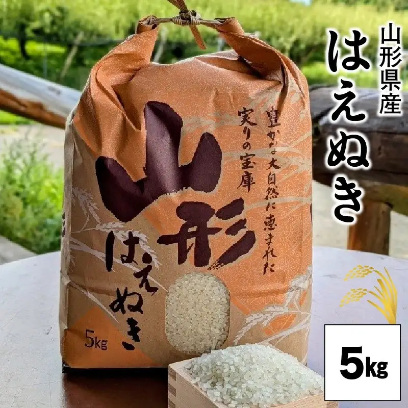 【２０２６年１０月発送】令和８年産　はえぬき（精米）５ｋｇ　0011-2608
