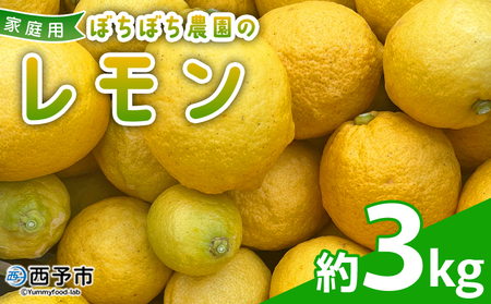 ＜ぼちぼち農園のレモン 家庭用 約3kg＞ 3キロ レモン れもん 檸檬 訳あり わけあり ワケアリ ご自宅用 ご家庭用 果物 柑橘 フルーツ アレンジ 料理 国産 国産レモン 愛媛県産 特産品 ぼちぼち農園 愛媛県 西予市【常温】『2027年1月～3月中旬迄に順次出荷予定』ABB0007