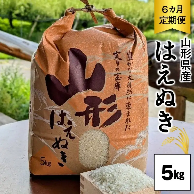 ＜２０２６年１０月～発送＞【定期便】令和８年産　はえぬき（精米）５ｋｇ×６か月連続お届け　0011-2609